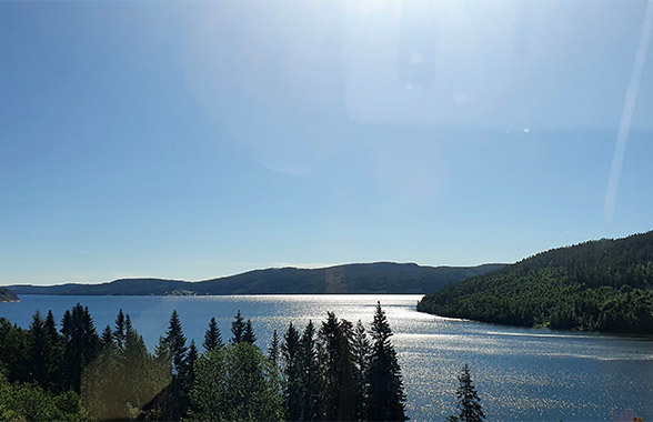 Paesaggio nei pressi di Skoved, Svezia. Una foresta di pini si affaccia sul mare del Golfo di Botnia